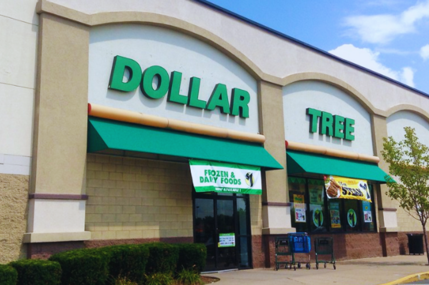 dollar tree